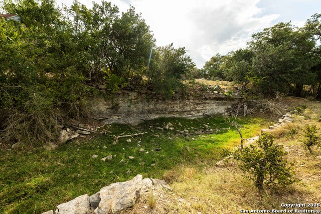Image 48 of 50 For 362 Coneflower