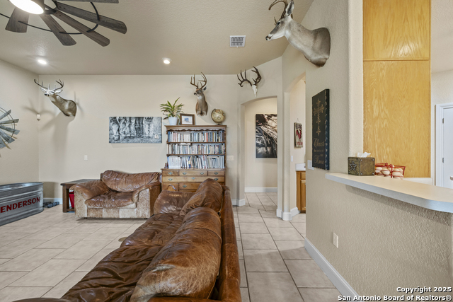 Image 8 of 50 For 362 Coneflower