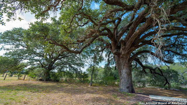 Details for 3638 Fm 2579, Floresville, TX 78114