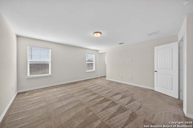 Image 20 of 33 For 11234 Amberina