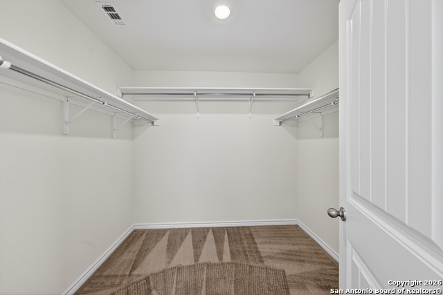 Image 21 of 33 For 11234 Amberina