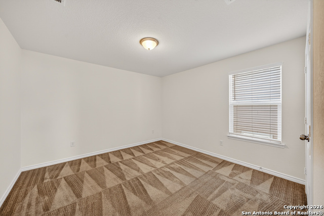 Image 24 of 33 For 11234 Amberina