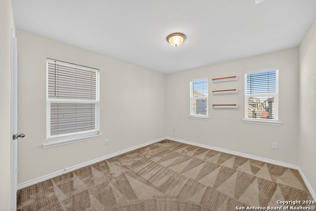 Image 25 of 33 For 11234 Amberina