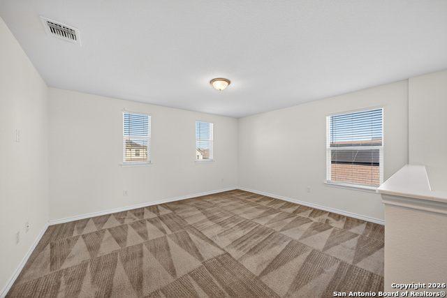 Image 27 of 33 For 11234 Amberina