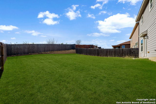 Image 30 of 33 For 11234 Amberina