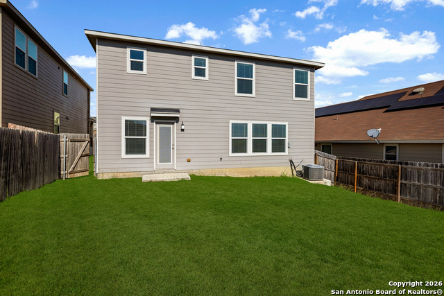 Image 33 of 33 For 11234 Amberina