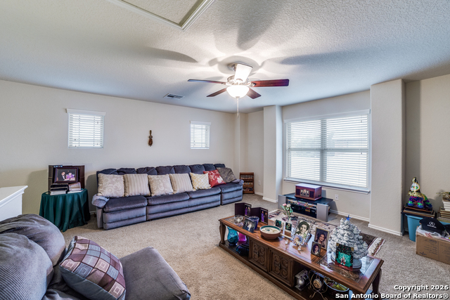 Image 13 of 25 For 8515 Loska  