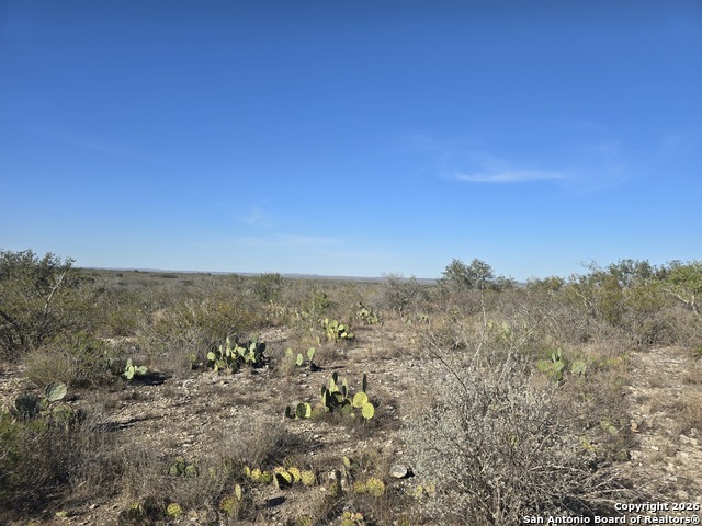 Image 14 of 18 For Tbd Cr 205  