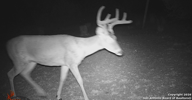 Image 17 of 18 For Tbd Cr 205  