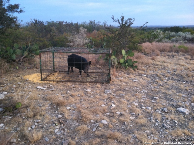 Image 10 of 12 For Tbd Cr 205