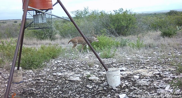 Image 11 of 12 For Tbd Cr 205