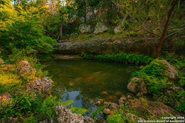 Details for 000 Rebecca Creek Ranch, Spring Branch, TX 78070