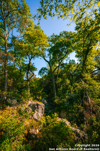 Image 4 of 10 For 000 Rebecca Creek Ranch
