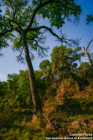 Image 8 of 10 For 000 Rebecca Creek Ranch