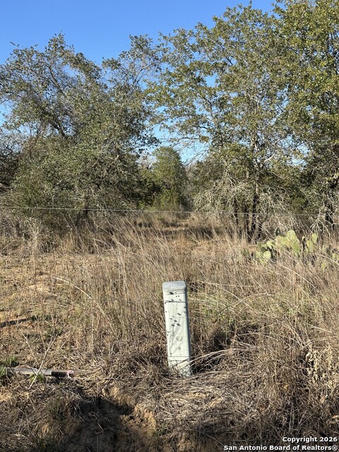 Image 2 of 5 For Tract 4 1580 Hickory Lane