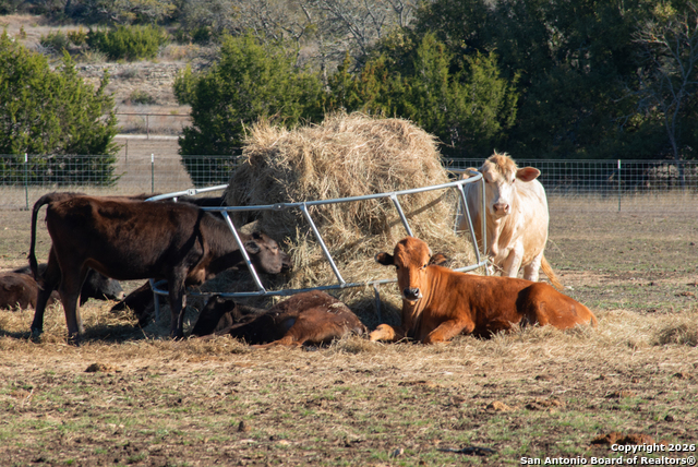 Image 37 of 50 For 13944 Fm 32  