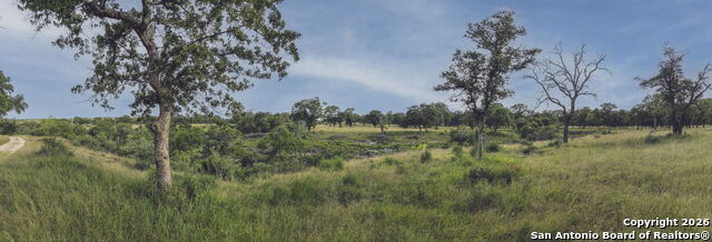 Image 49 of 49 For 241 Seewald