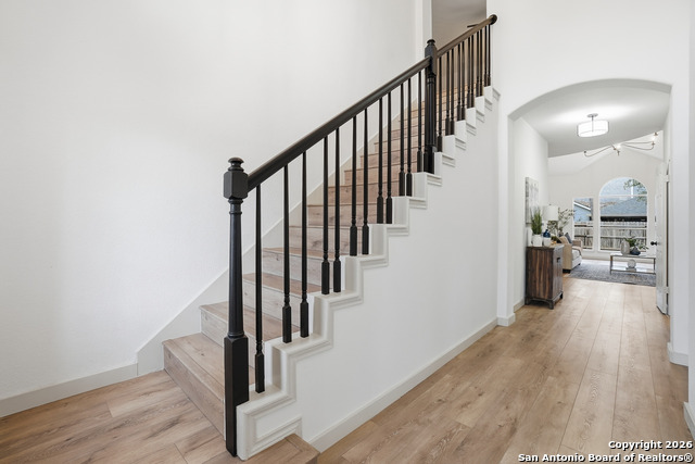 Listing photo id 16 for 103 Rimdale  