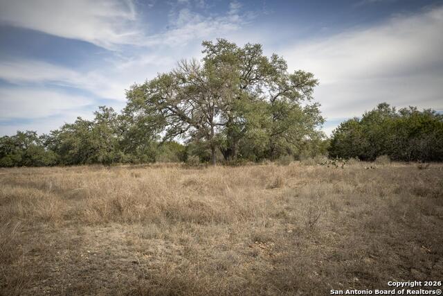 Image 41 of 50 For 360 Kirk Ln  