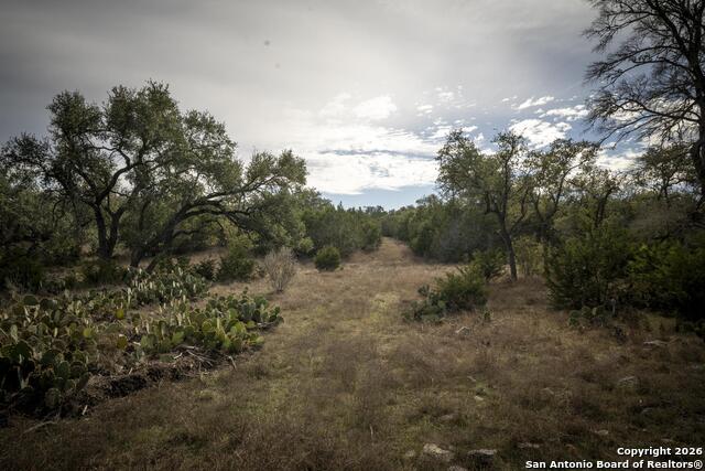 Image 44 of 50 For 360 Kirk Ln  