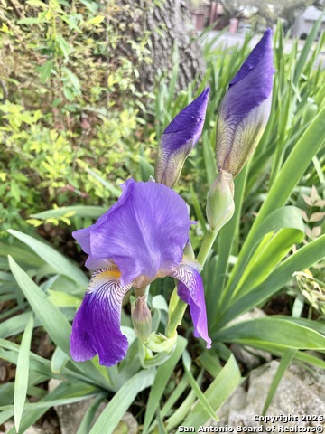 Image 19 of 27 For 29607 Terra Bella