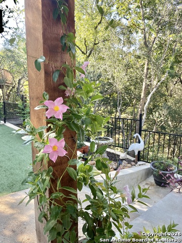 Image 23 of 27 For 29607 Terra Bella