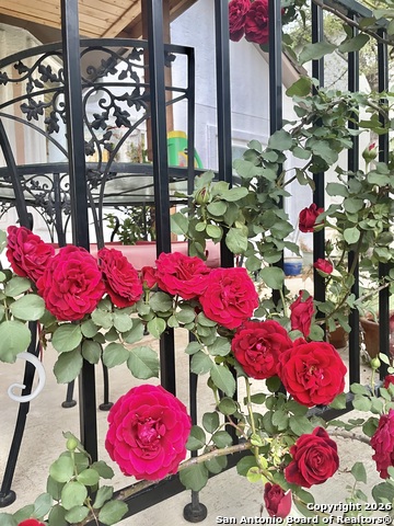 Image 5 of 27 For 29607 Terra Bella