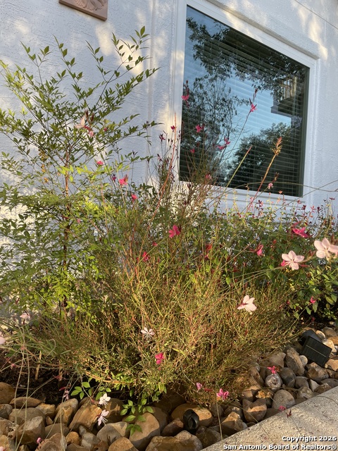 Image 6 of 27 For 29607 Terra Bella