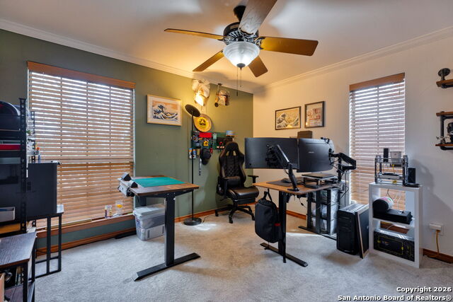 Image 12 of 18 For 8655 Datapoint  506