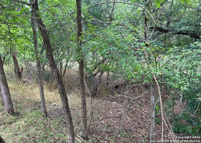 Image 4 of 8 For 9200 Marymont