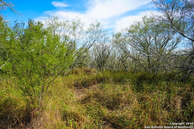 Listing photo id 3 for 000 Cr 124  