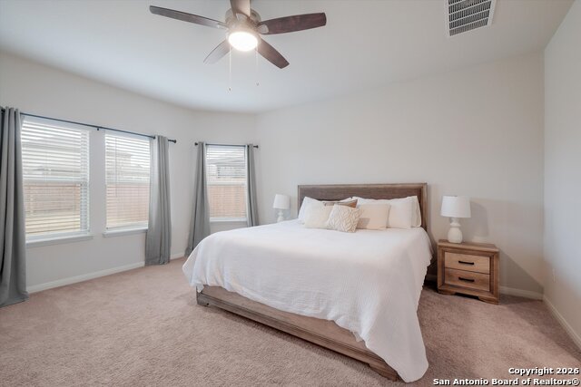 Image 11 of 27 For 10227 Amaryllis