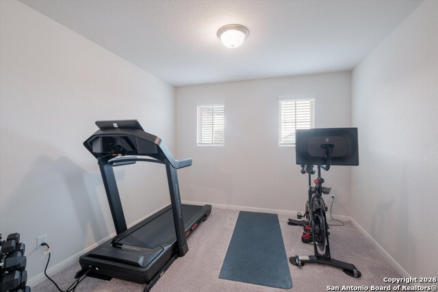 Image 16 of 27 For 10227 Amaryllis