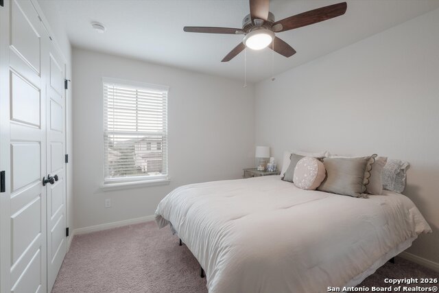 Image 18 of 27 For 10227 Amaryllis