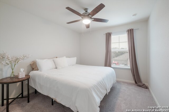 Image 19 of 27 For 10227 Amaryllis