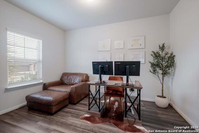 Image 4 of 27 For 10227 Amaryllis