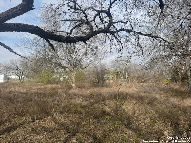 Image 7 of 8 For 606 Cedar  