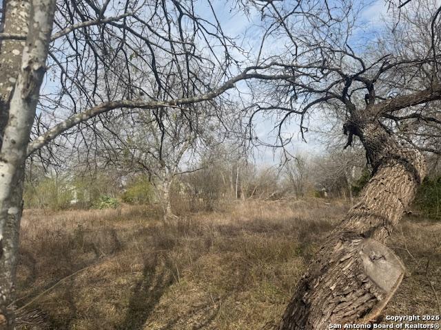 Image 8 of 8 For 606 Cedar  