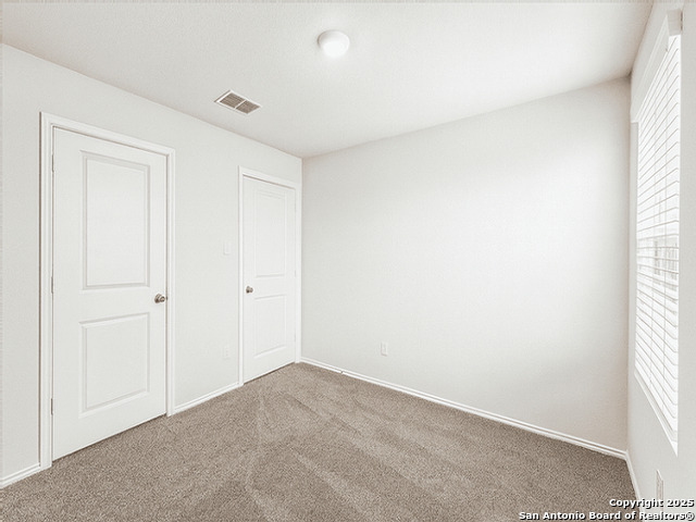 Image 10 of 23 For 2111 Organ Pipe Cactus