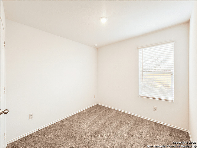 Image 11 of 23 For 2111 Organ Pipe Cactus