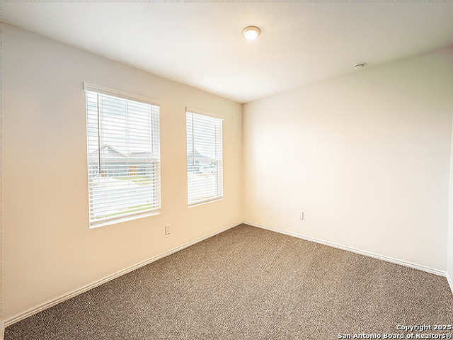 Image 14 of 23 For 2111 Organ Pipe Cactus