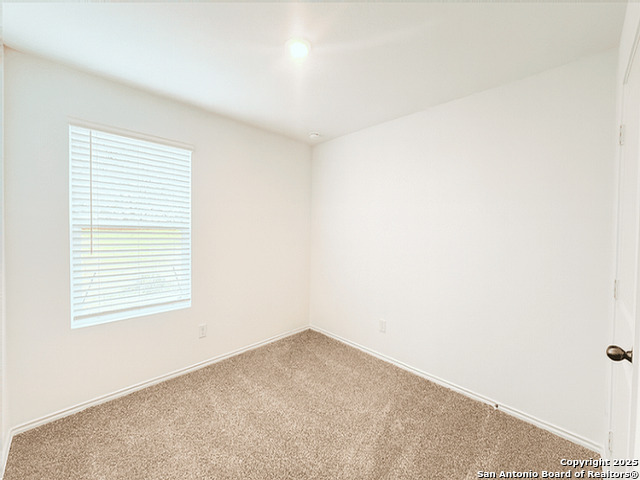 Image 16 of 23 For 2111 Organ Pipe Cactus