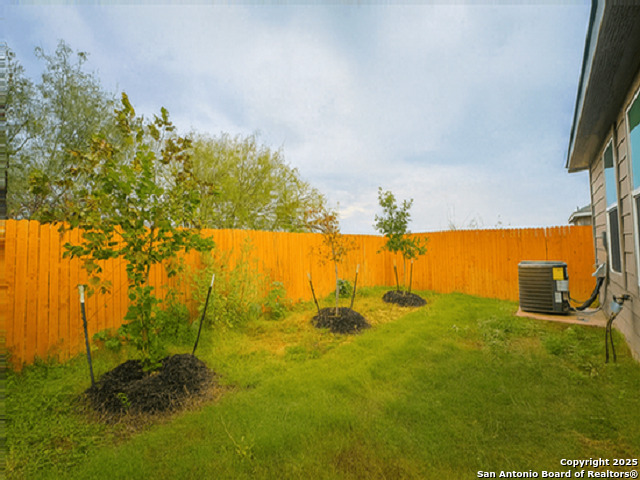 Image 23 of 23 For 2111 Organ Pipe Cactus