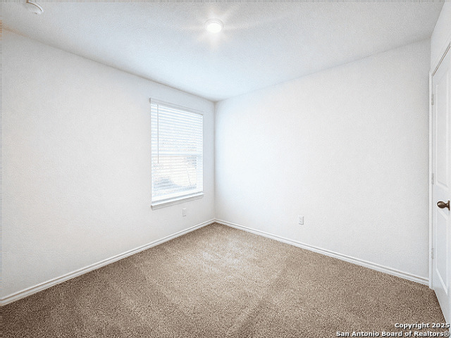 Image 9 of 23 For 2111 Organ Pipe Cactus