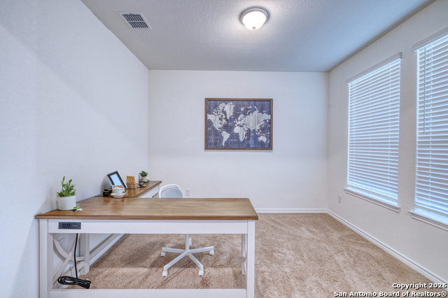 Image 5 of 34 For 15747 Selene Vw