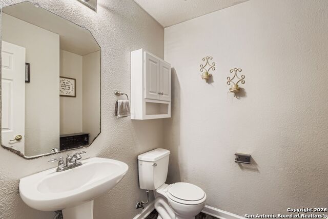 Image 12 of 25 For 14310 Yellow Warbler