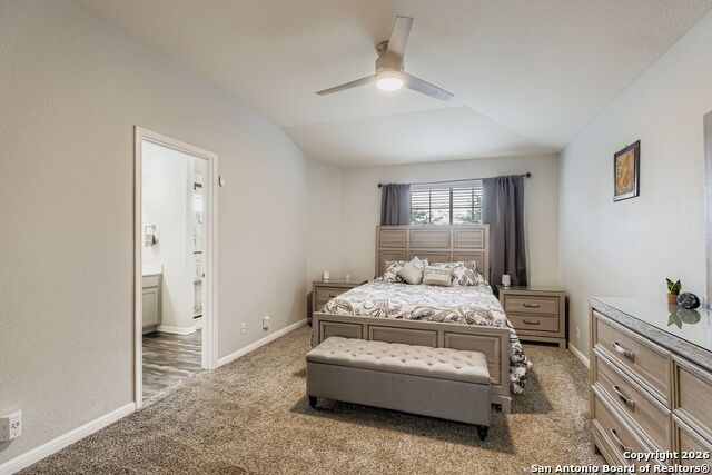 Image 13 of 25 For 14310 Yellow Warbler