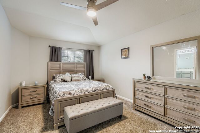 Image 14 of 25 For 14310 Yellow Warbler