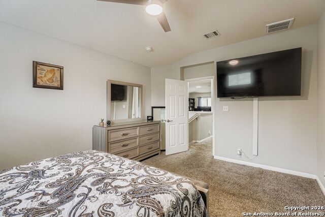 Image 15 of 25 For 14310 Yellow Warbler