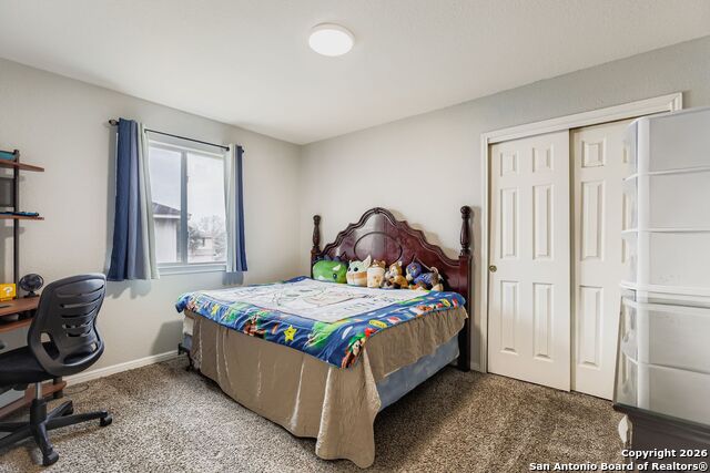 Image 19 of 25 For 14310 Yellow Warbler